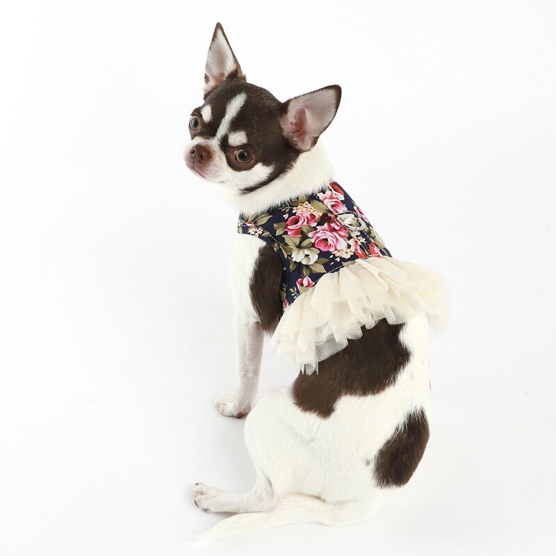 Huisdier Producten Kat En Hond Trekkabel Borstband Kleine Hond Vest Tractie Kledingstuk Rok: Tibetan blue / S