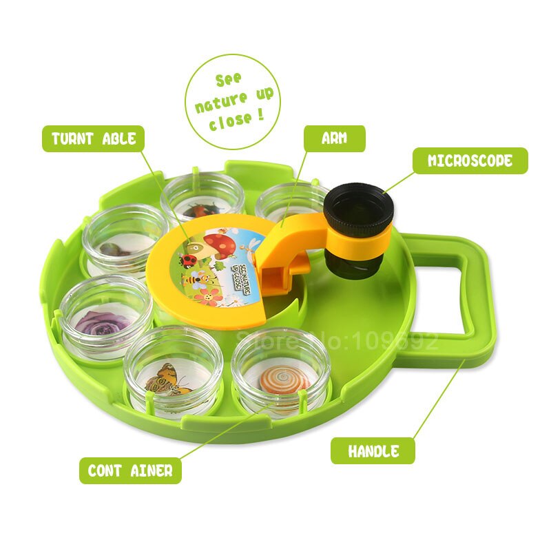Insect observation science microscopy experimental tools ornamental rocks flowers leaves insects shells crystals minerals