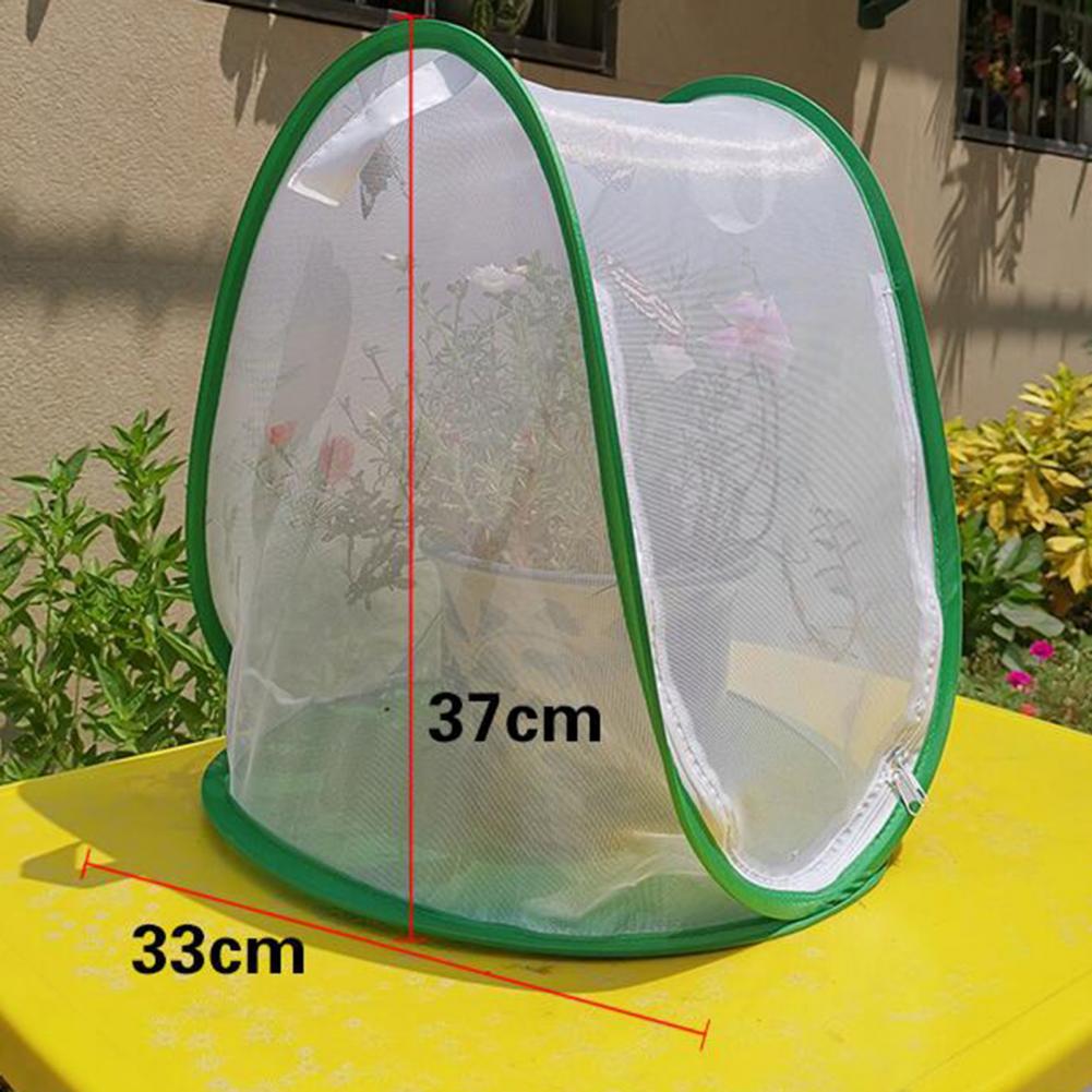 Insect Kooi Opvouwbare Te Dragen Groene Insect Mesh Kooi Terrarium Voor Tuin