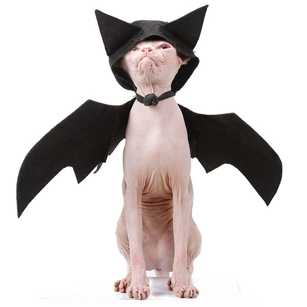 Halloween Pet Spider Clothes Simulation Black Spider Puppy Cosplay Costume For Dogs Cats Party Cosplay Funny Outfit