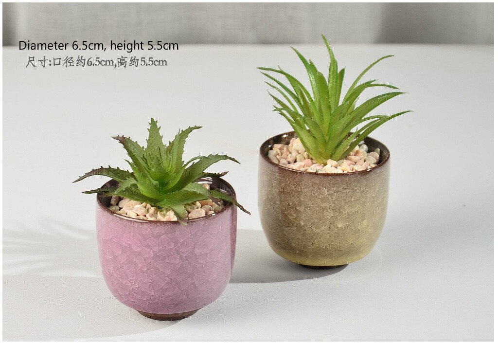 Ceramic Succulent Leaf Potted Pot Small Fresh Mini Plant Nursery Pot Office Desktop Potted Plant Succulent Pot Plant Pots: C