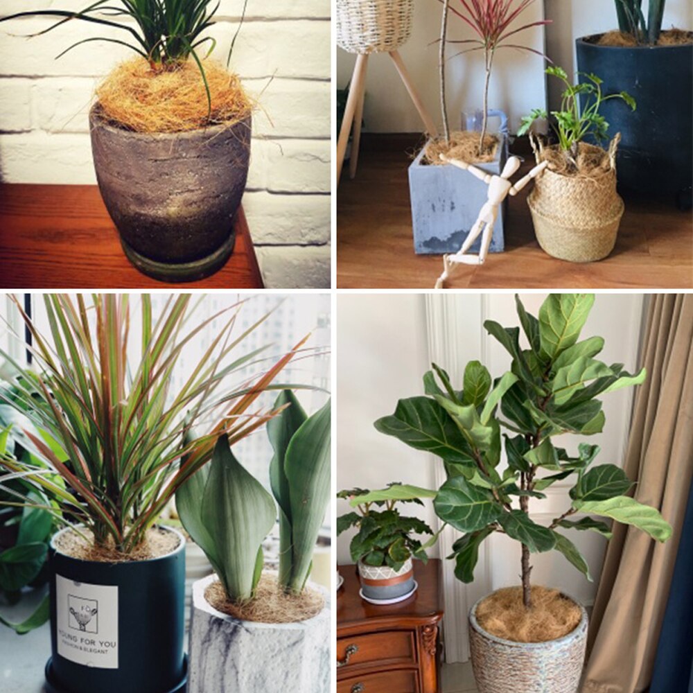 Kokosowe jedwabne ptasie gniazdo papuga gniazdo ciepłe słomiane ptasie gniazdo małego ptaka ptasie gniazdo bez szczególnego zapachu brązowe jedwabne ptasie gniazdo mata gniazdo