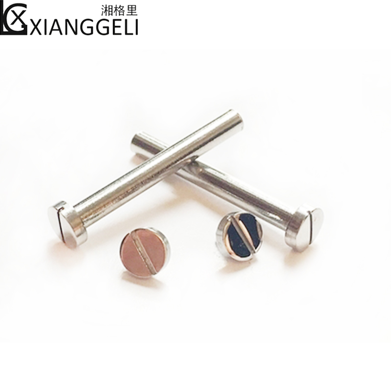CK montre bracelet K1S21120/K1S21102/KIS21100 oreille tige vis/vis accessoires