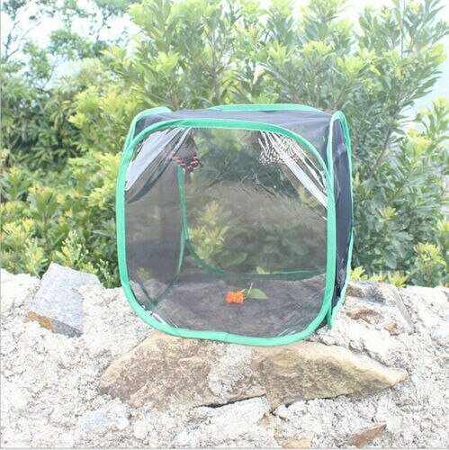 Newest Foldable Mesh mantis Cage For Insect//Praying Feeding Housing Enclosure: Red / S