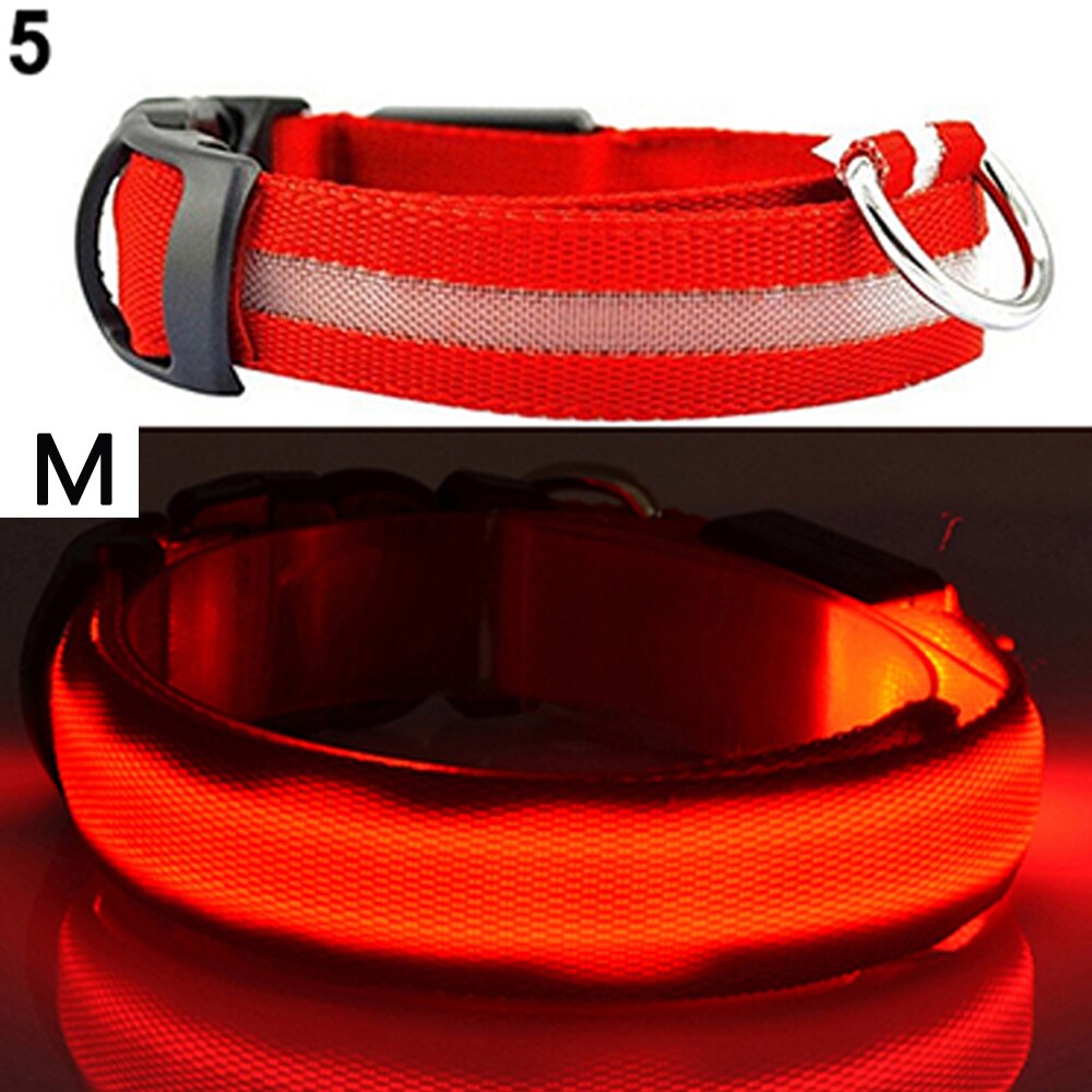 Led Veiligheid Halsband + 2 Batterijen Oplichten Huisdier Kraag Verstelbare Nylon Knippert Lichtgevende Ketting Puppy Anti-Verloren levert: Red M