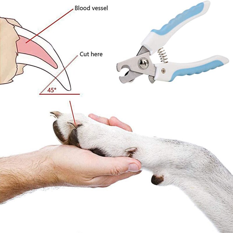 Tijeras para cortar uñas de mascotas, para perros y gatos, Tijeras para uñas del pie, recortador, herramientas de aseo para animales, suministros para mascotas