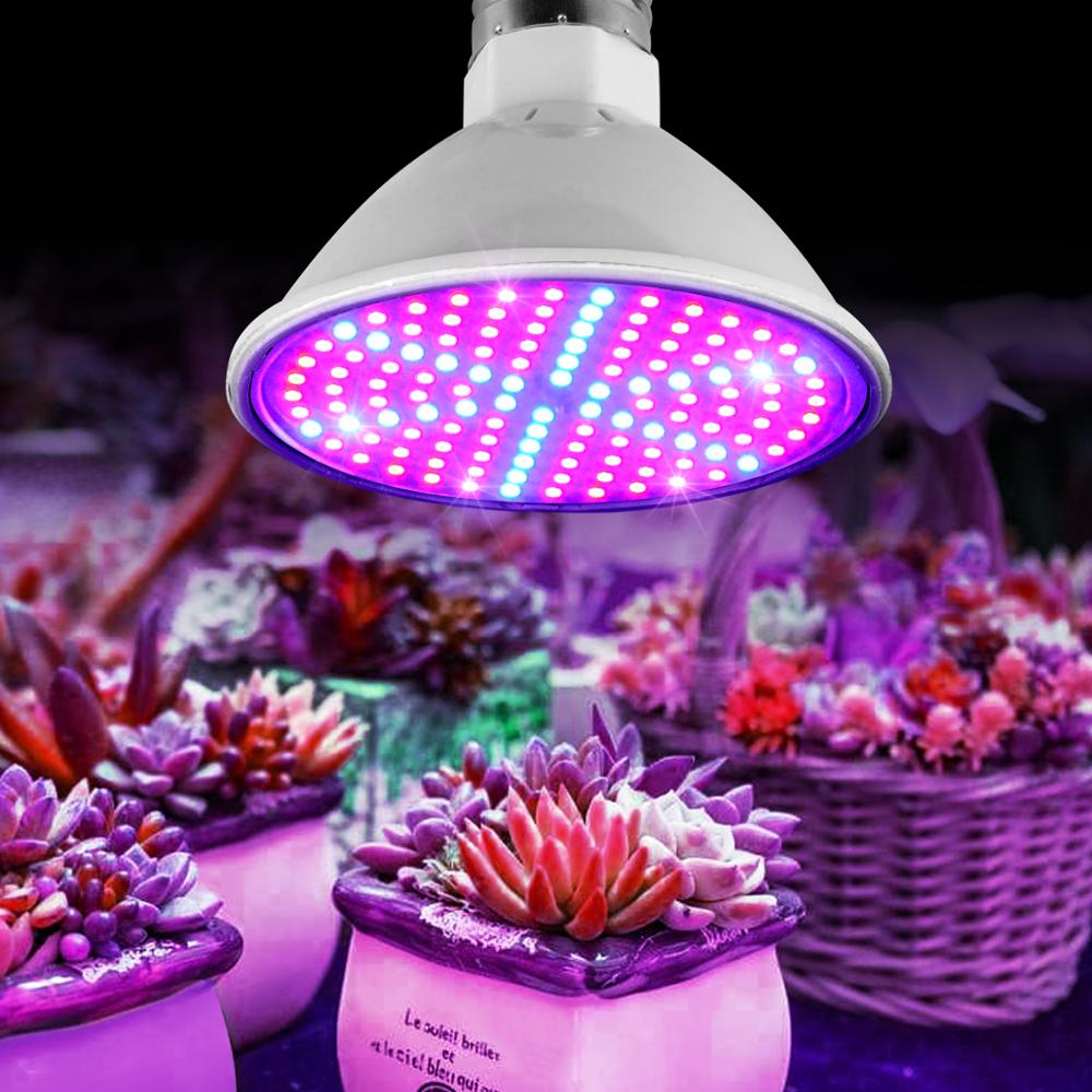 Lámpara LED de cultivo hidropónico para invernadero lámpara LED de 60, 126 y 200 leds para plantas suculentas y flores, Bombilla de AC85V-265V E27 para invernadero de interior