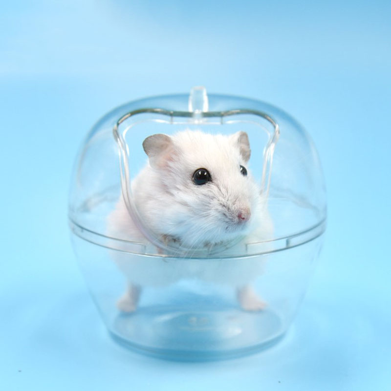 Hamster Zand Badkamer Plastic Huis Bad Container Hamster Badkamer Sauna Wc Bad Voor Muis Hamster Chinchilla Rat Woestijnrat