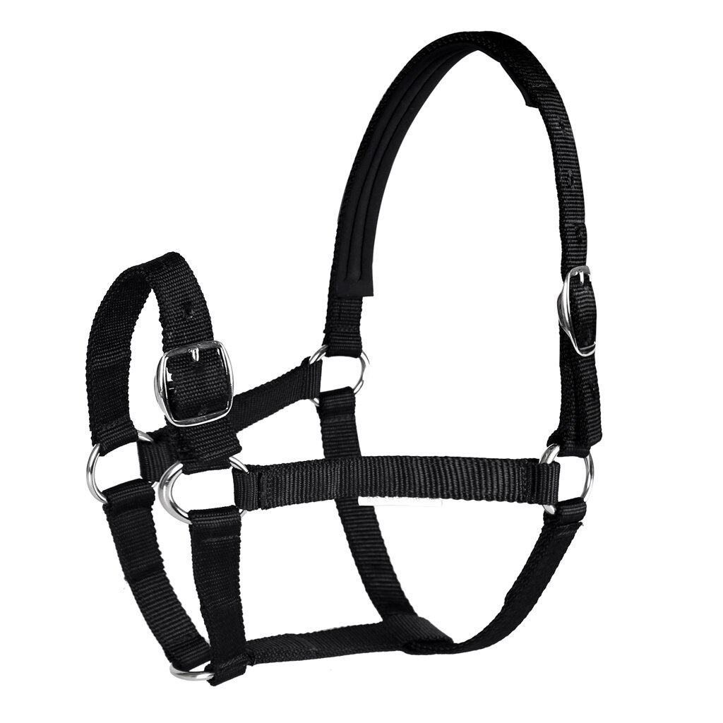 Adjustable Equestrian 4.3ft - 5.4ft Horse Halter - for Training, Trailering and Lunging