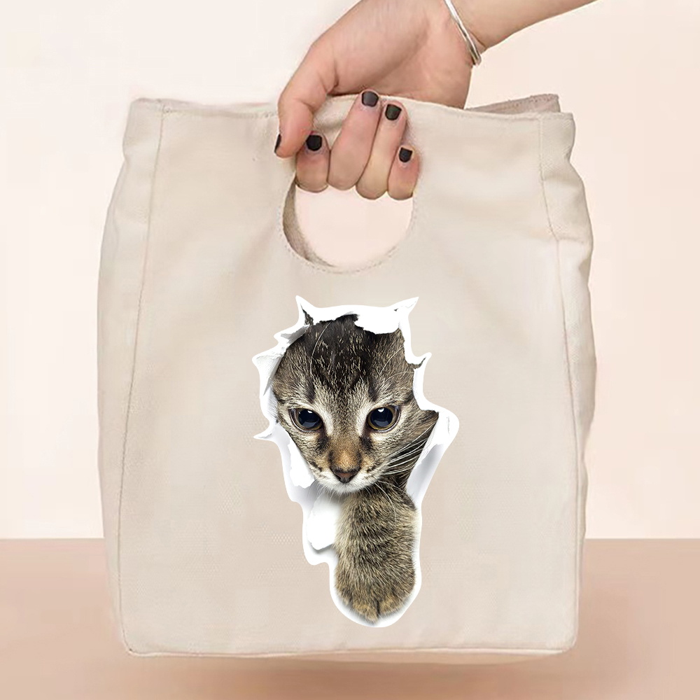 Gecontracteerde Stijl Geïsoleerde Lunch Tas, Duurzaam Bento Pouch, Thermische Lunch Box, Cooler Tassen, kat Print Lunch Container Bag: 5Cat008