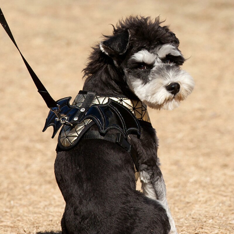 1 pièces Cosplay chiens harnais Pitbull Bulldog laisse chat de compagnie chien coffre avec aile Schnauzer chiot Chihuahua Bull Terrier fournitures pour animaux de compagnie