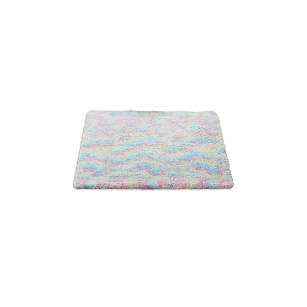Regenboog Kleuren Tapijten Voor Woonkamer Tapijt Slaapkamer Decor Tapijt Floor Karpetten Voor Thuis Fluffy Thicken Mat Lange Zachte fluwelen Mat: 40X60cm