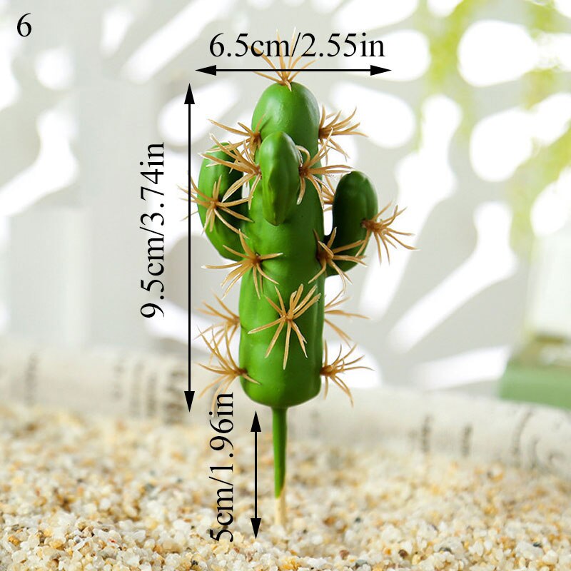 Graines de graines pour Aquarium, plante aquatique, graines faciles, Aquarium, aménagement paysager: 6