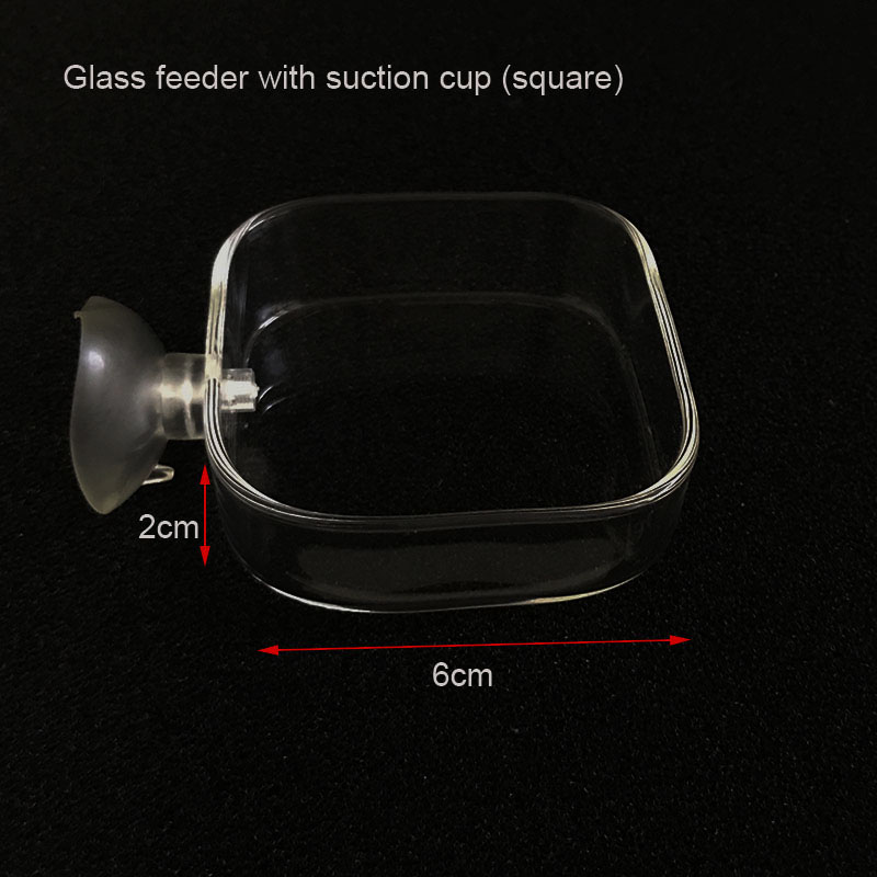 Transparent Aquarium Fish Tank Shrimp Food Feeding Circle Glass Feeder Floating Bottom Feeder Fish Shrimp Aquarium Accessories: Yellow