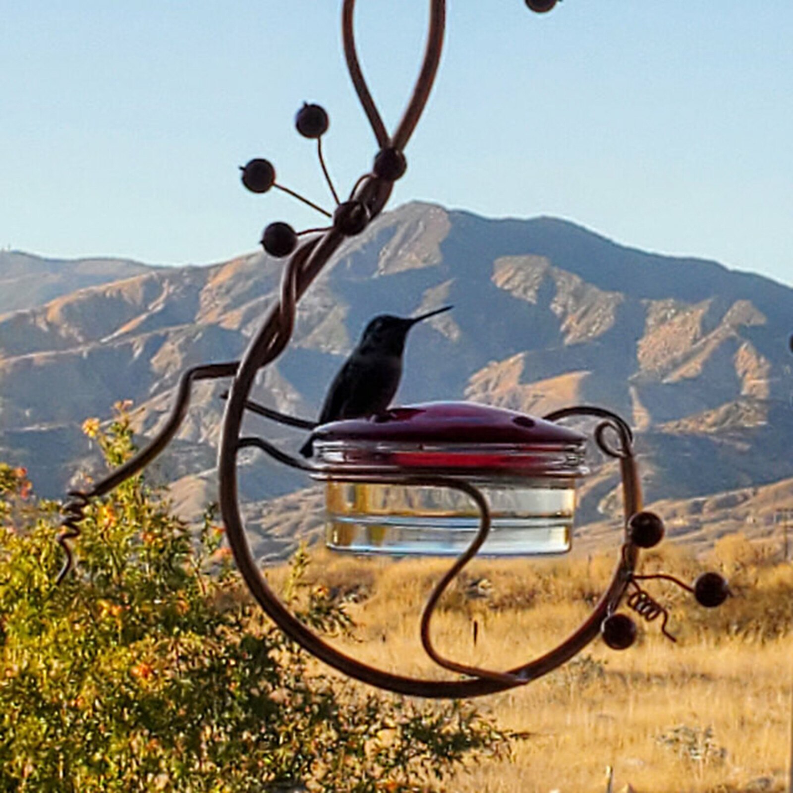 Alimentador de pájaros para patio, frutas rojas, colibrí