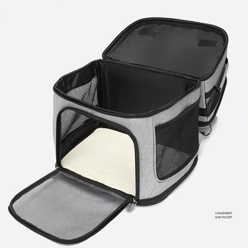 Sac à dos de transport pour chat, Double couche, amovible pour 2 chats, pour petits et moyens chiens, sac de voyage respirant pour animaux de compagnie