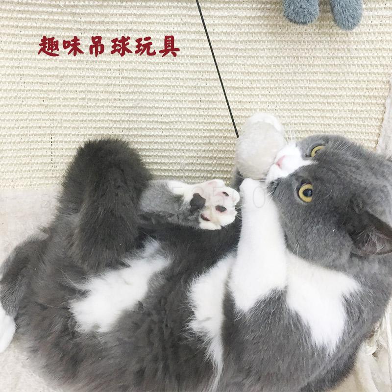 Katten Stoel Hangmatten Sisal Kat Klim Boom Huis Kat Krasraad Vier Seizoenen Kattenbakvulling Slijpen Klauwen Kat Speelgoed