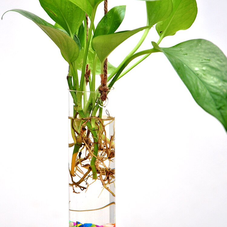 Jarrón colgante de flores para jardín, maceta de cristal, contenedor de plantas, decoración de en casa, para boda, macetas colgantes creativas, 1 ud.: Long tube