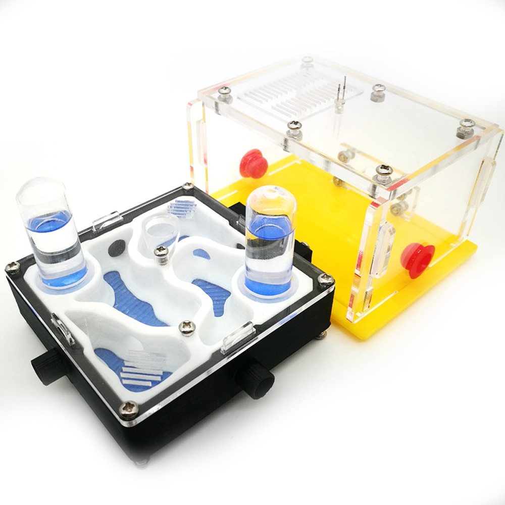 Ant Nest X6-B1 X6-A1 DIY Moisture Feeding Area Acryl Ant Farm Ants House Birthday
