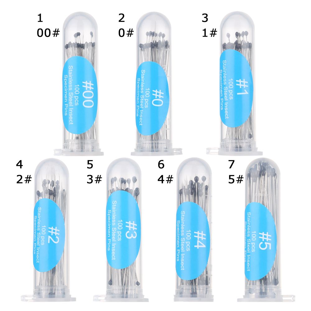 Épingles à insectes, 100 pièces, aiguille d&#39;échantillon en acier inoxydable avec boîte en plastique pour l&#39;école de laboratoire d&#39;entomologie aiguille de Dissection corporelle
