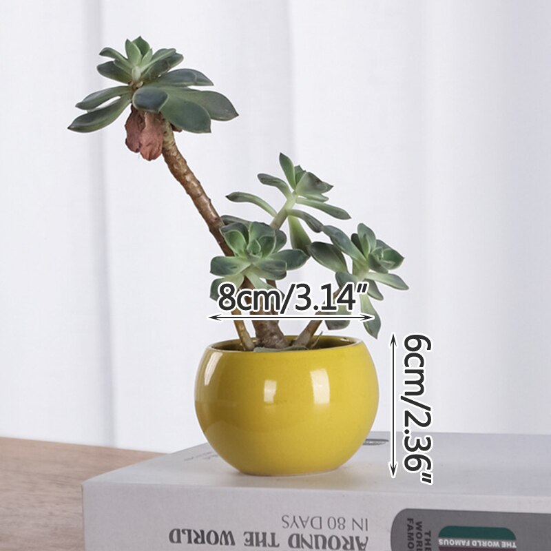 Koreańskie Macarons świeże ceramiczne sukulenty garnki zielone rośliny z otworami małe doniczkowe rośliny kreatywne kryty dekoracja biurka: B