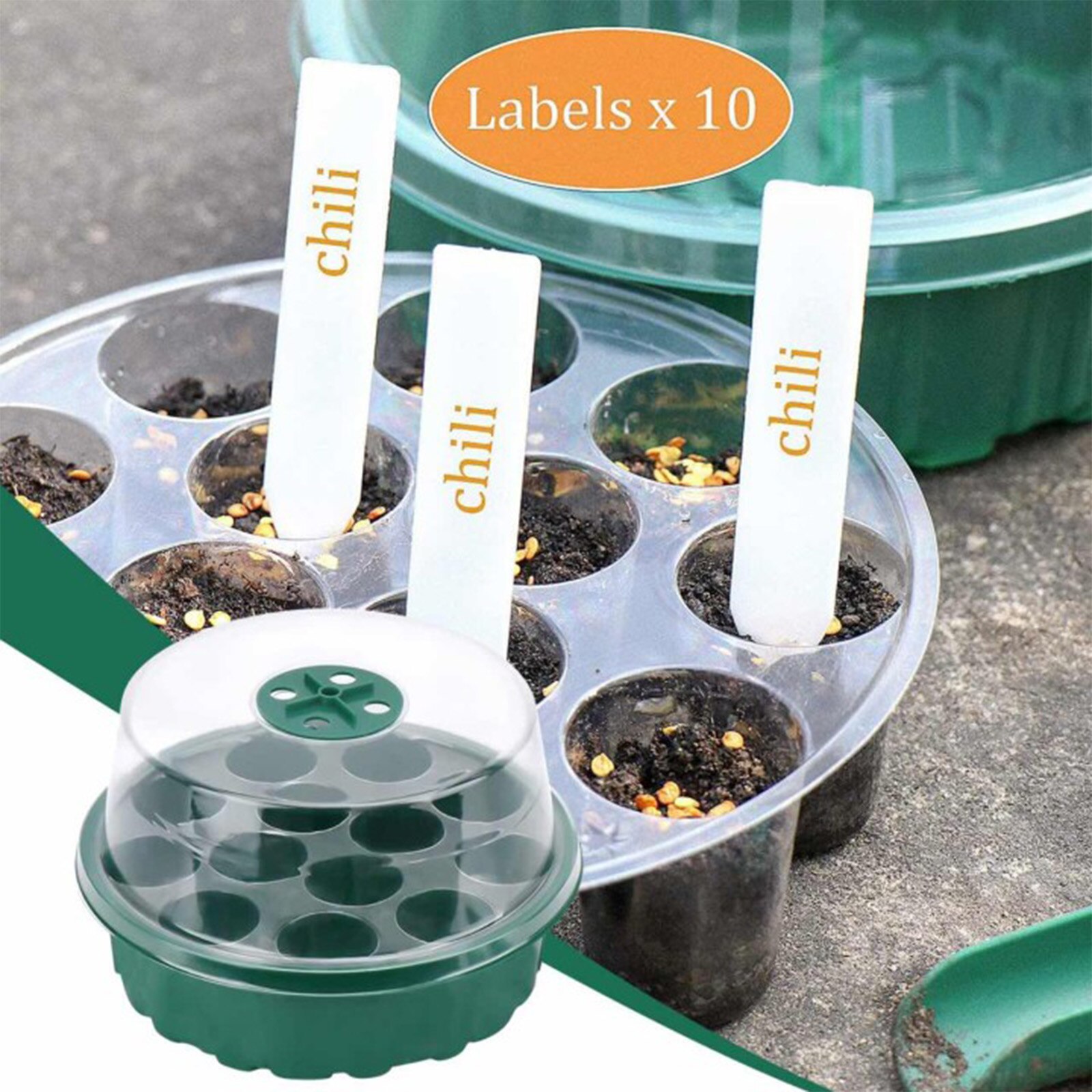 Seed Starter Tray Kit - 13 Cells Mini Propagator with Dome Greenhouse with Seedling Tools for Seeds Growing Starting