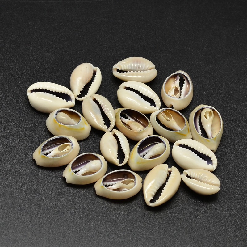 50 stuks Natuurlijke Porceleinslak Schelp Kralen Geen Gat Bleke Guldenroede 17 ~ 20x10 ~ 12x5 ~ 6mm