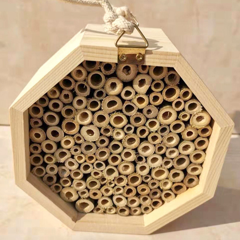 Caja de madera creativa para colmena de abejas, caja de acoplamiento para casa de insectos, suministro de apicultura para jardín