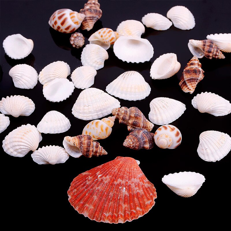 Mooie Ca. 100G Strand Gemengde Schelpen Mix Schelpen Shell Ambachtelijke Schelpen Aquarium #67179