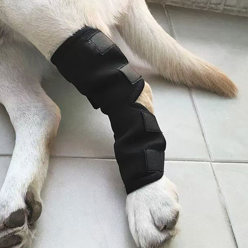 Aquecedores de pernas para cães, cinta auxiliar conjunta para animais de estimação, barril longo, dedicado à recuperação pós-operatória, suporte de fixação ajustável para cães grandes