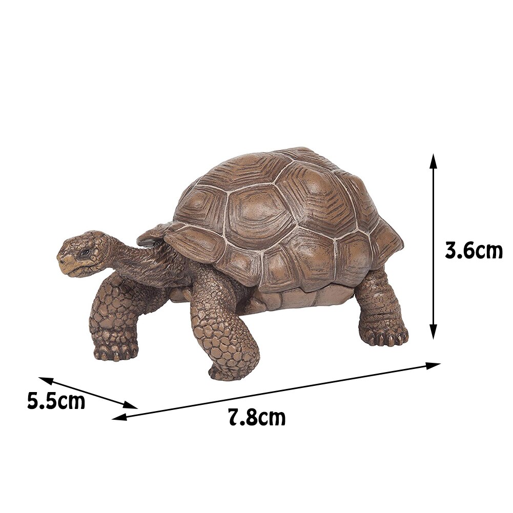 3inch Galapagos Tortoise Turtle Model Figure Animal Toy - Collectable #W0