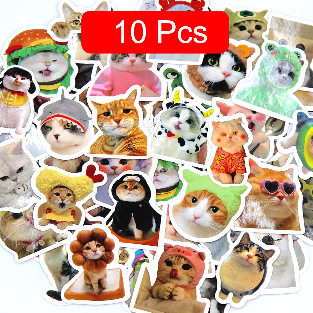 10/50/100pcs Funny Cute Cat Stickers Cat DIY Stickers Scrapbooking Phone Laptops Luggage Skateboard Decorative Waterproof Decals: Transparent