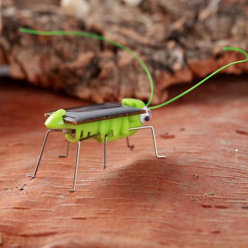 MINOCOOL Mini Solar Mier Populaire Kinderen Speelgoed Insecten Model Zonne-energie Sprinkhaan Play & Leren Educatief Zonne Speelgoed: Default Title