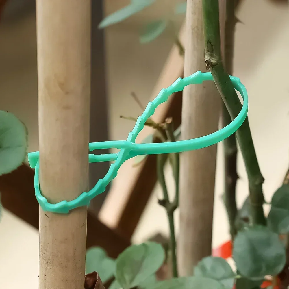 thumbnail image 2 of 1-Roll Garden Plant Tape, 33 Ft X 0.6 In Garden Plant Ties For 2 of 9