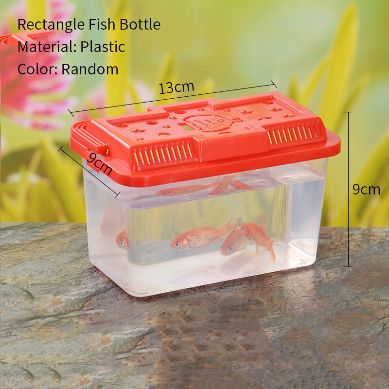 Aquarium Portable 1 pièce, boîte d&#39;élevage de poissons, Mini tortue de poisson rouge, réservoir de petits reptiles, fournitures d&#39;accessoires pour animaux de compagnie: 1