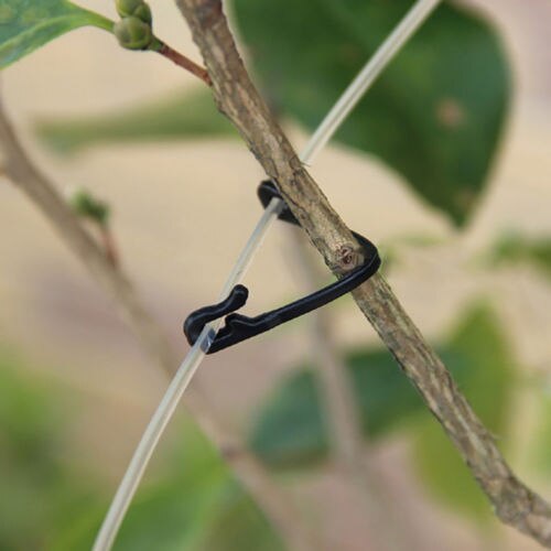 Cordel de sujeción para plantas, pinzas para tomate, enrejados de jardín, enredadera, soporte para sujetar plantas, 100 Uds.