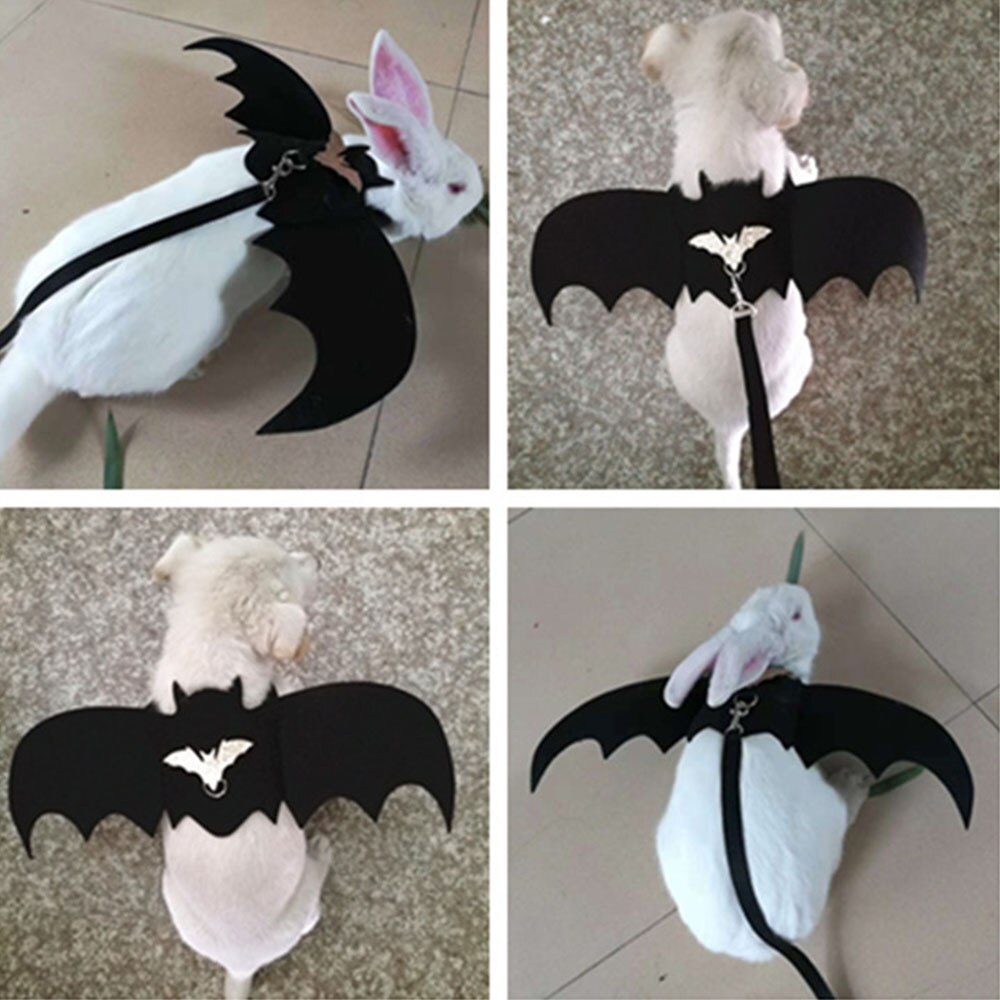 Masque Chauve-souris Chat - Accessoire Déguisement Halloween, Photo, Cosplay Pour Chat, Léger Et Ajustable