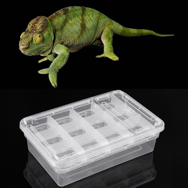 Caja incubadora de huevos para reptiles, bandeja para huevos, Gecko camaleón, herramienta de incubación