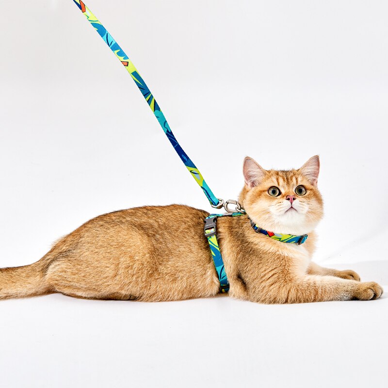 PETKIT-Correa de pecho con forma de I para gato, arnés ajustable, material de nailon de , correas de plomo para caminar
