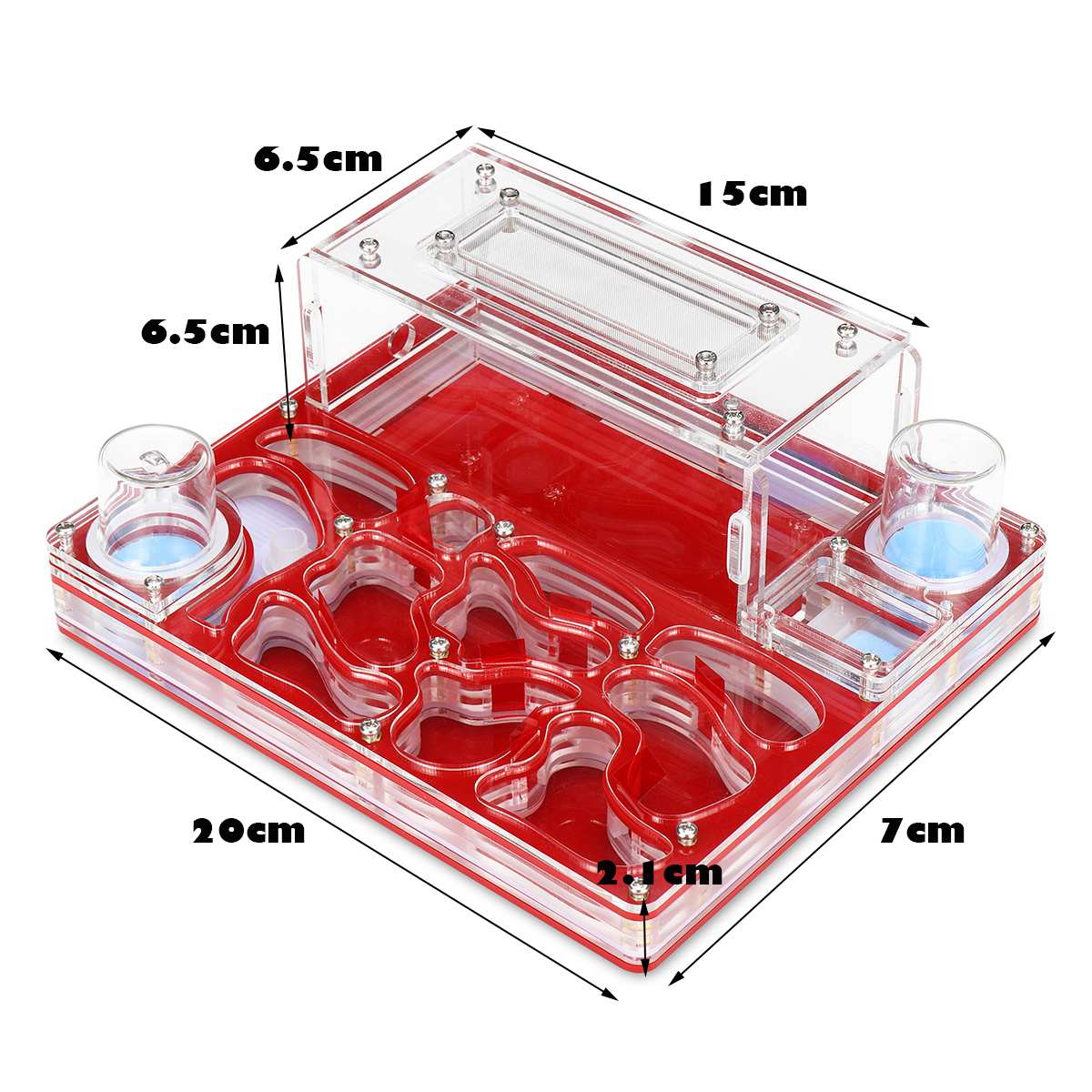 DIY Acryl Flat Ant Farm Large Ant Nest with Feeding Area Water Feeder Ant House Pet Anthill Workshop Multiple Colour