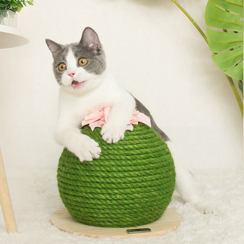 Kat kradsebræt pricky pear kattelegetøj til killing kaktus kat produkt kradsepude sisal kat kradse spil dekoration