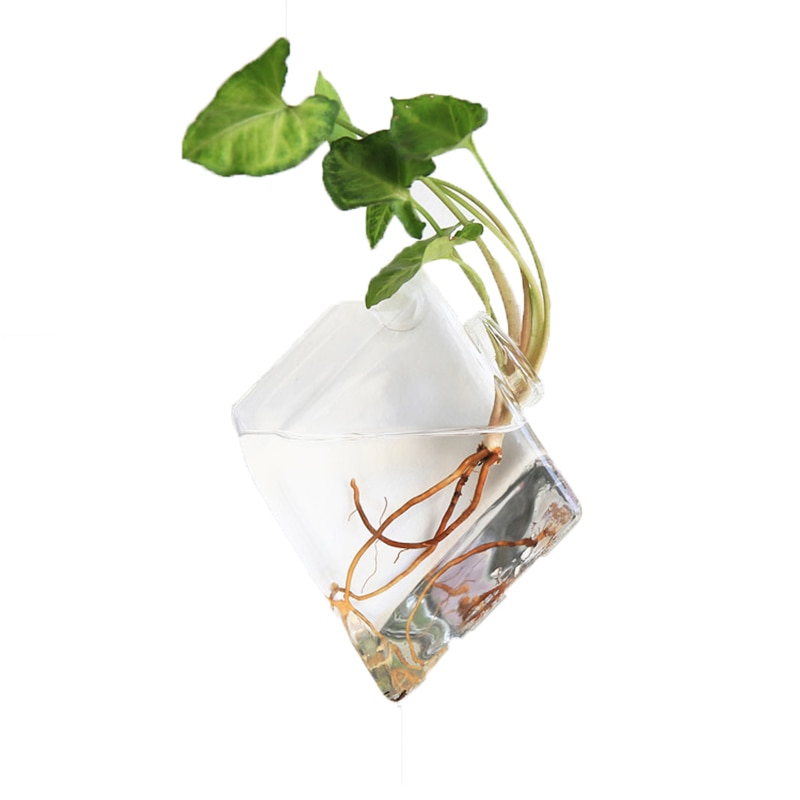 Foam Box Packing Aquarium Tank Fish Bowl Decoration Wall Hanging Aquatic Pet Supplies For Flower Arrangement Horticulture Fish