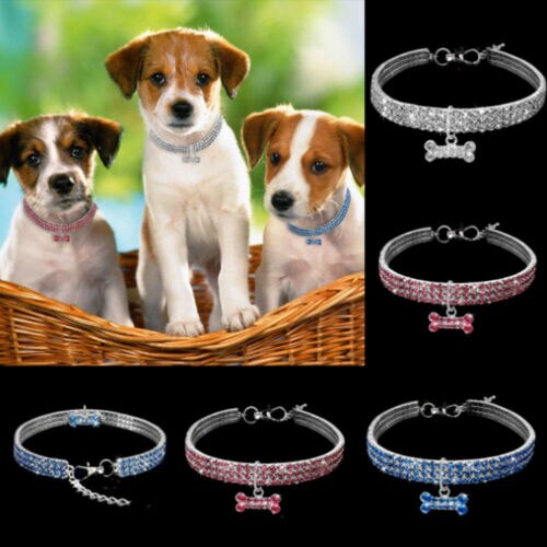 Collier de chien collier bijoux perles Diamante accessoire pour chiot Chihuahua cou décor harnais