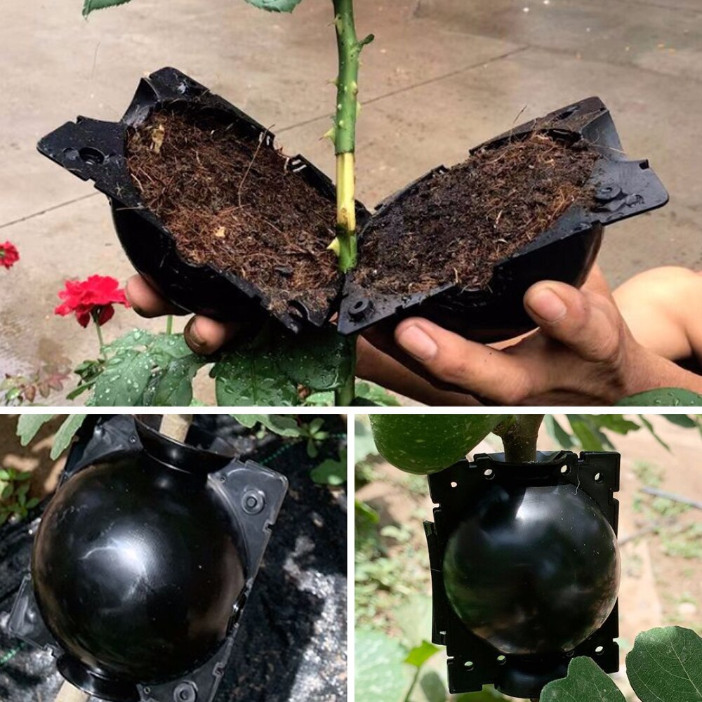 Plant high pressure propagation box cutting grafting rooting box garden tree rooting propagation ball