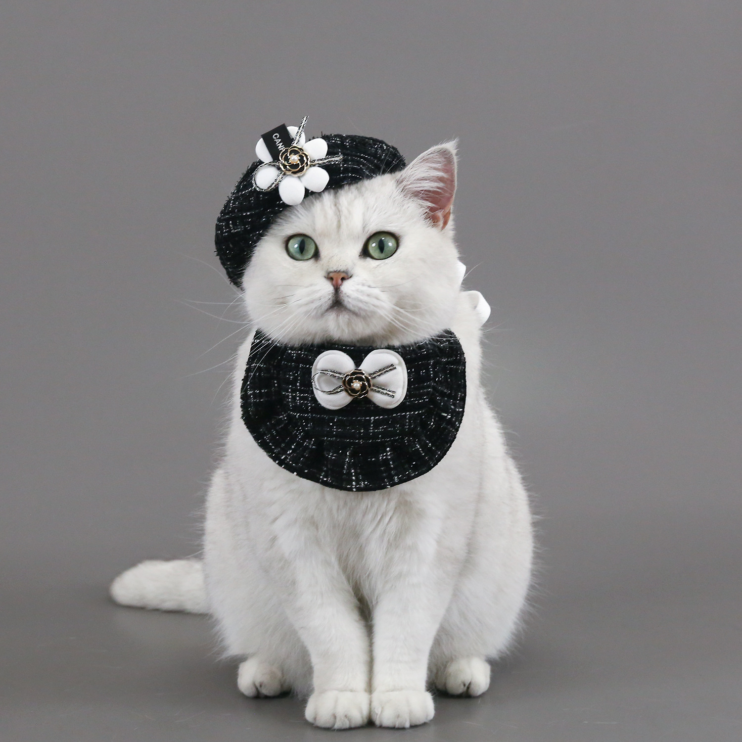 Chapeau en laine avec nœud papillon pour animaux de compagnie, bavoir en dentelle, ensemble d'accessoires pour chat et chien, bandana pour chien, accessoires pour animaux de compagnie