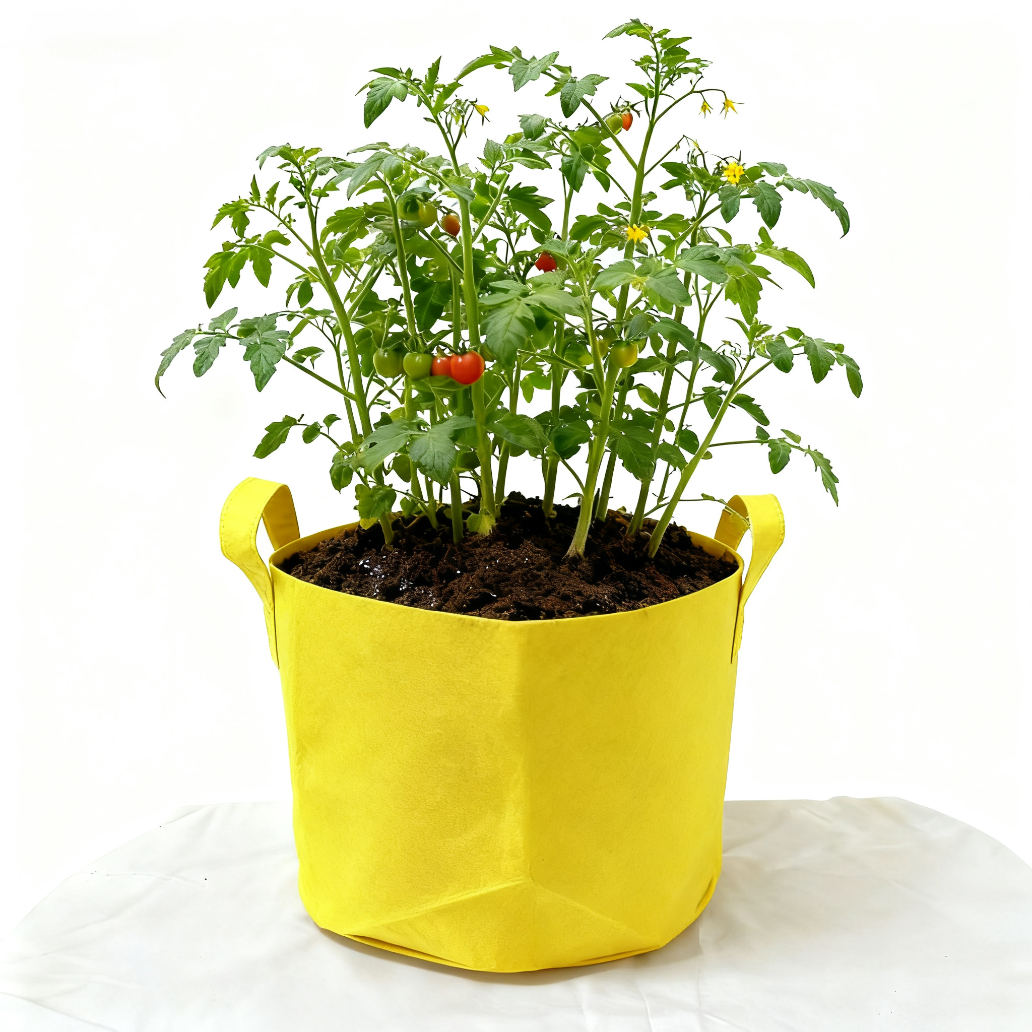 10 Gallon Grow Bags for Vegetable/Flower/Plant, 5 Gallon Aeration Fabric Pots with Handles Cloth Pots for Plants Garden: M / Yellow
