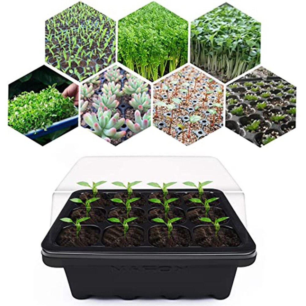 3/6PCS 12 Holes Plant Seed Grow Box Plastic Propagator Growing Trays With Lids For Garden Nursery Vegetable Fruit Planting