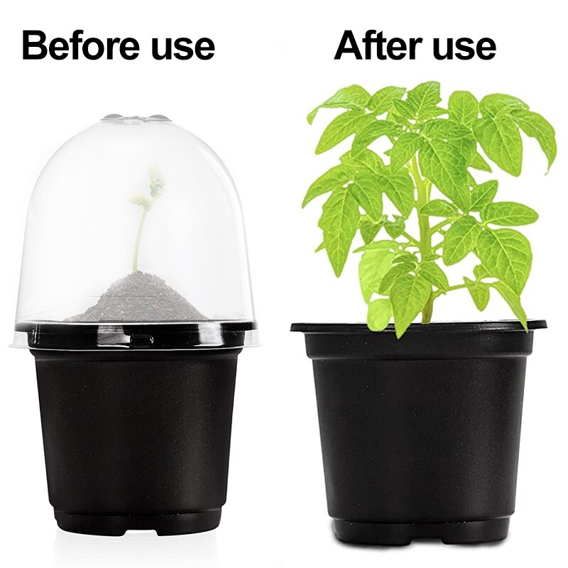 Plant Protection Cover Reusable Plastic Keep Warm Cover Transparent Garden Seedling Cover Seed Germination Protection Dome