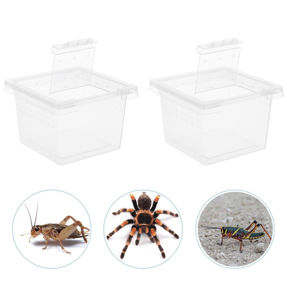 100Pcs Transparent Lizard Spider Snake Insect Cages Container