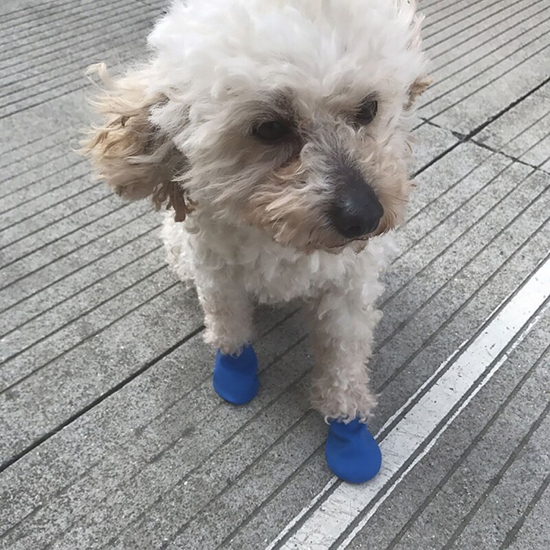 4 stuks/set regenschoenen voor huisdieren, snoepkleurige rubberen waterdichte antislipschoenen voor honden, buitenlaarzen voor de verzorging van poten van huisdieren, antislipschoenen voor puppy's